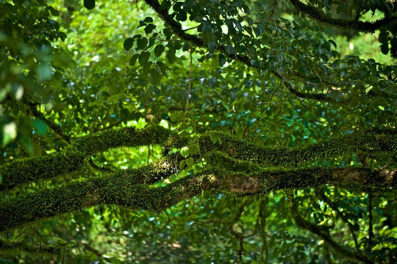 Bali B&B Hengshan Exteriér fotografie